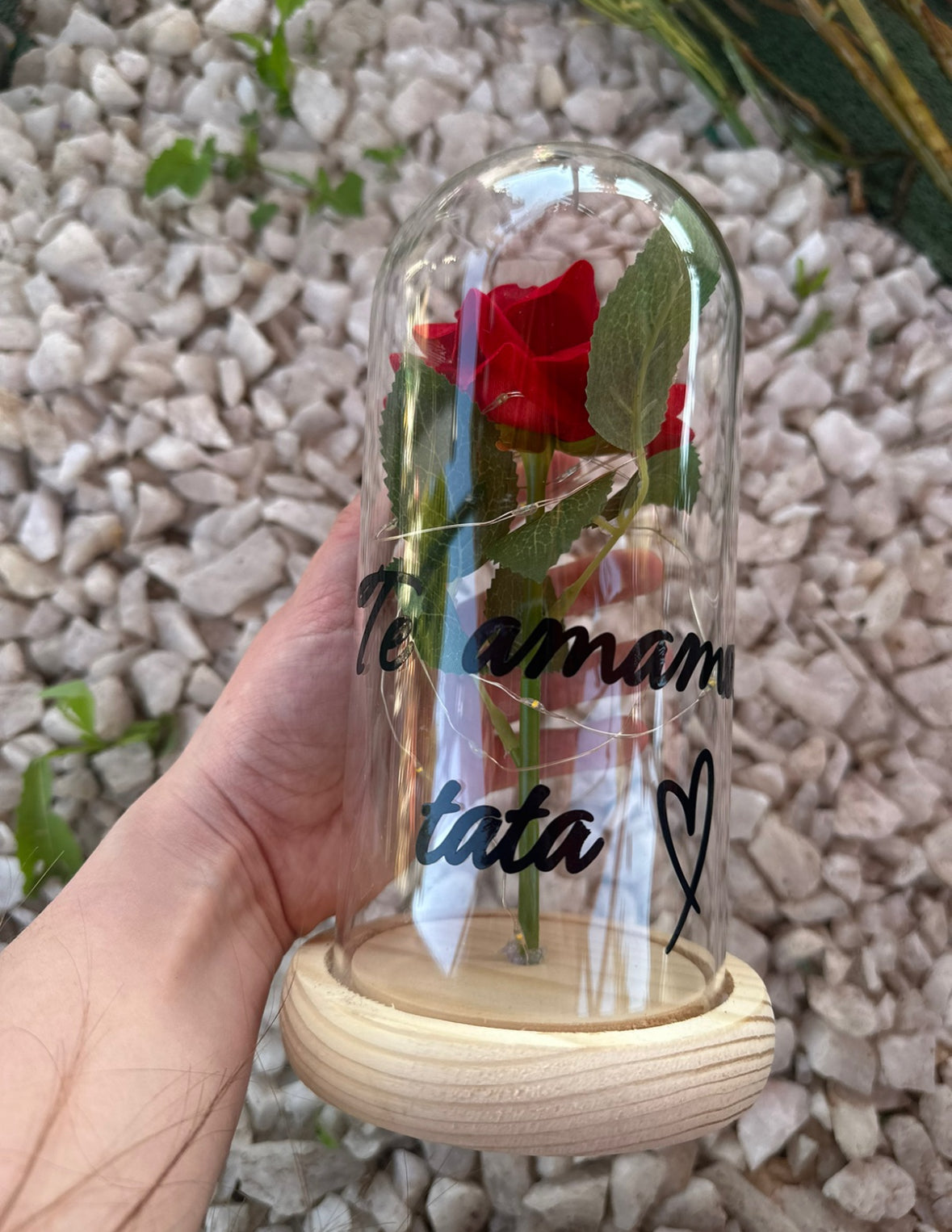 Rosa eterna con frase