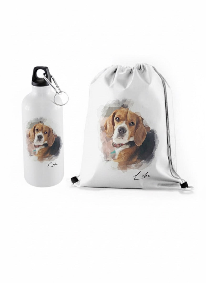 Kit paseo mascota