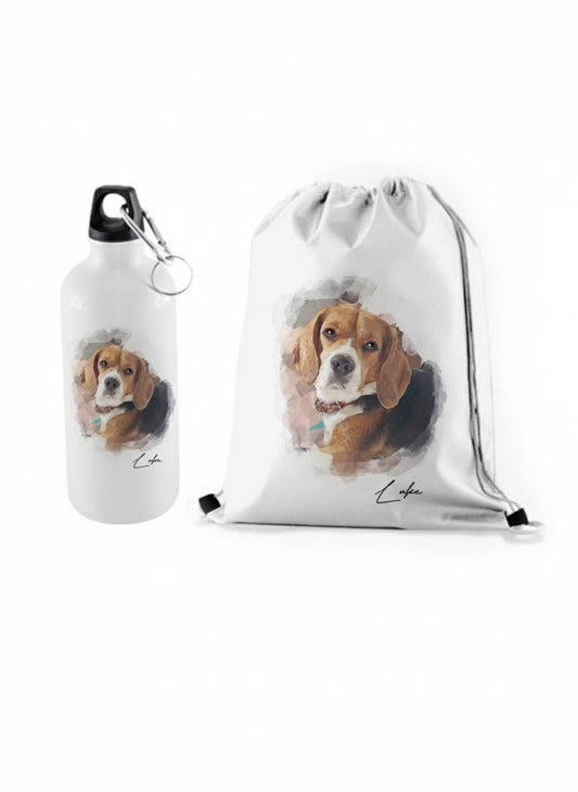 Kit paseo mascota